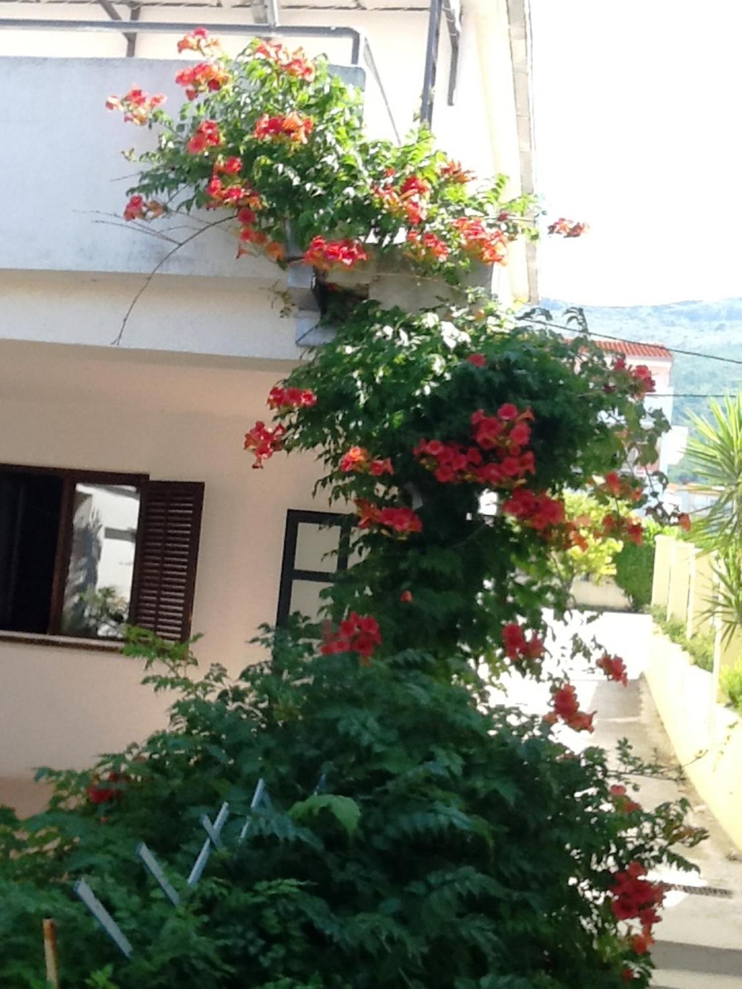 Villa Tamaris On The Beach 珀德垂那 客房 照片